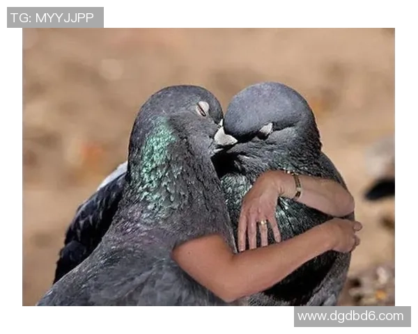 搞笑足球明星P图大集合让你捧腹大笑的创意瞬间回顾