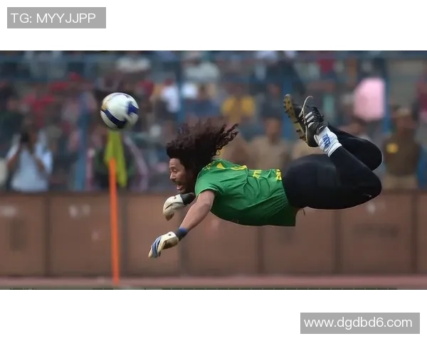 维族足球明星全景盘点及其辉煌成就与影响力分析