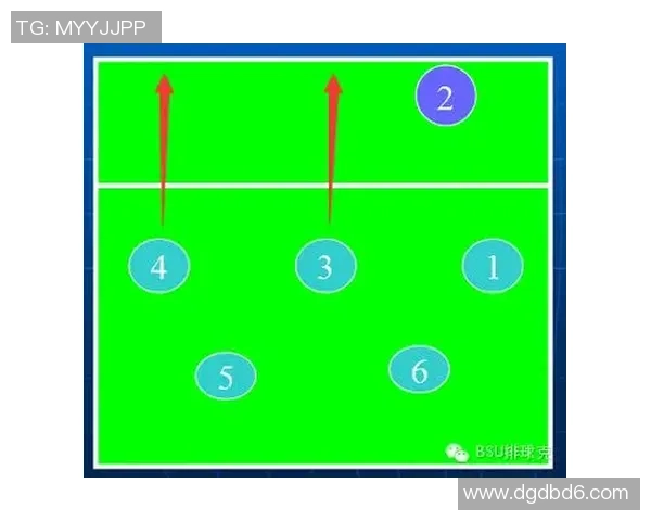 成都排球队进攻战术解析与深度剖析排球技巧的秘密与策略