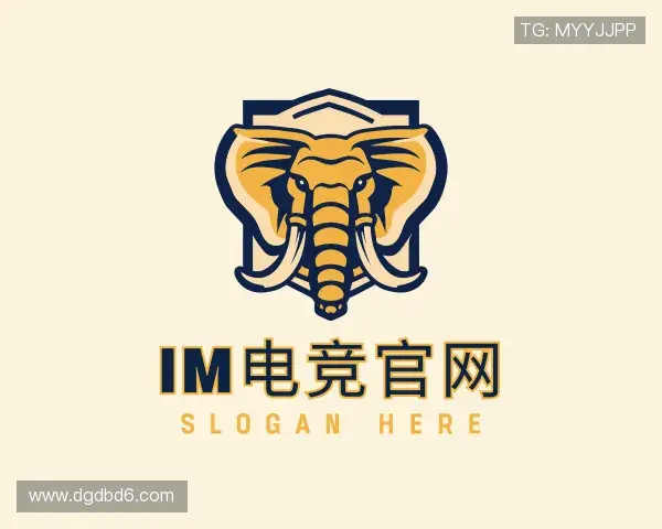 认识IM电竞
